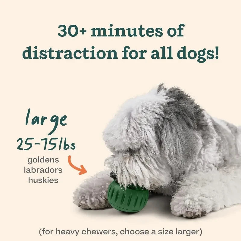 Interactive Dog Treat Feeding Ball