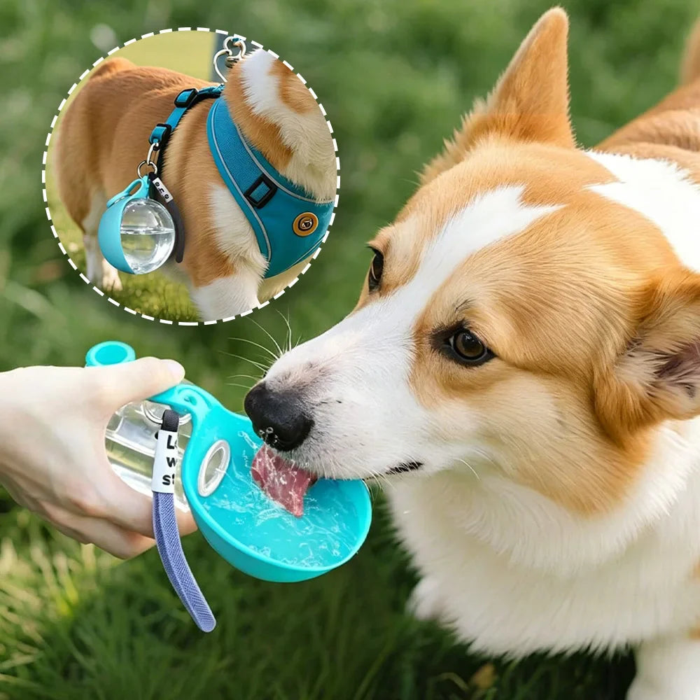 Portable Pet Adventure Bottle