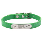 Personalized Leather Collar for Cats and Dogs