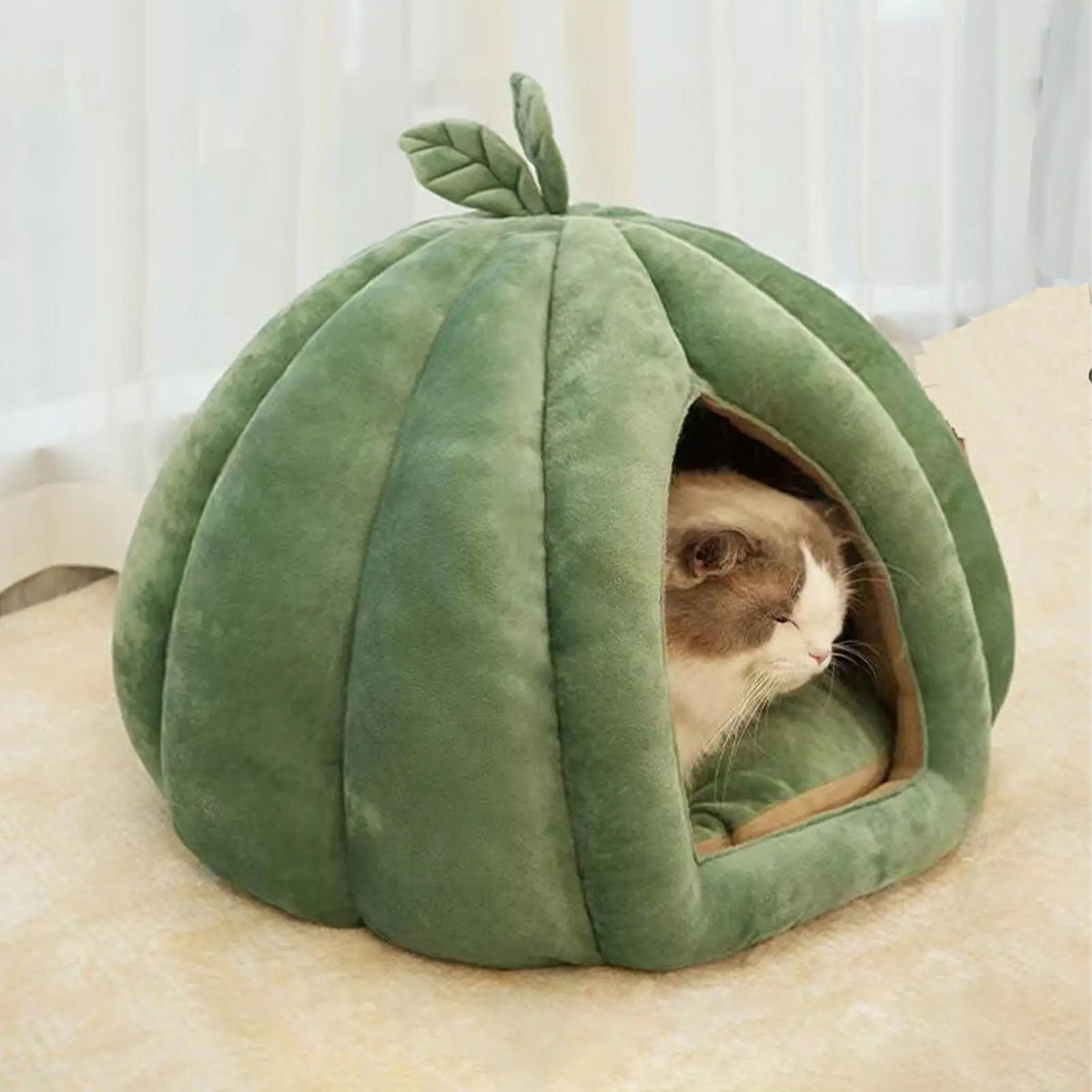 Pumpkin Cat House