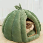Pumpkin Cat House