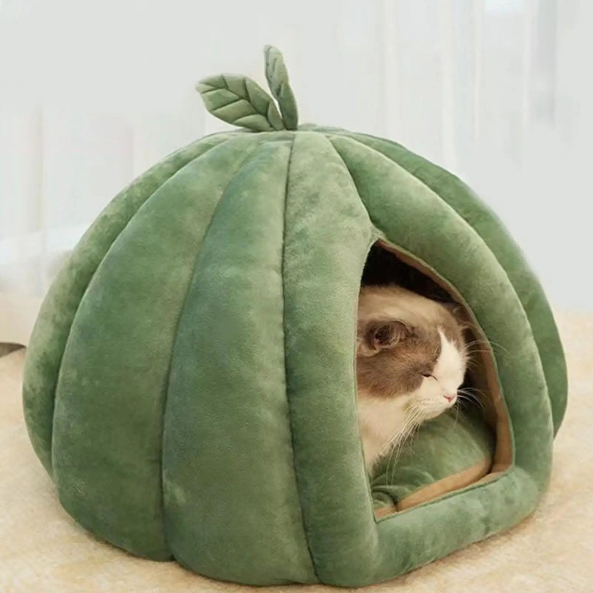 Pumpkin Cat House