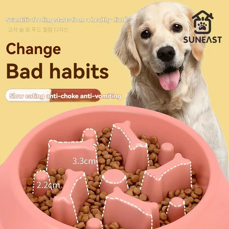 Environmentally Safe Slow Feeder Bowl