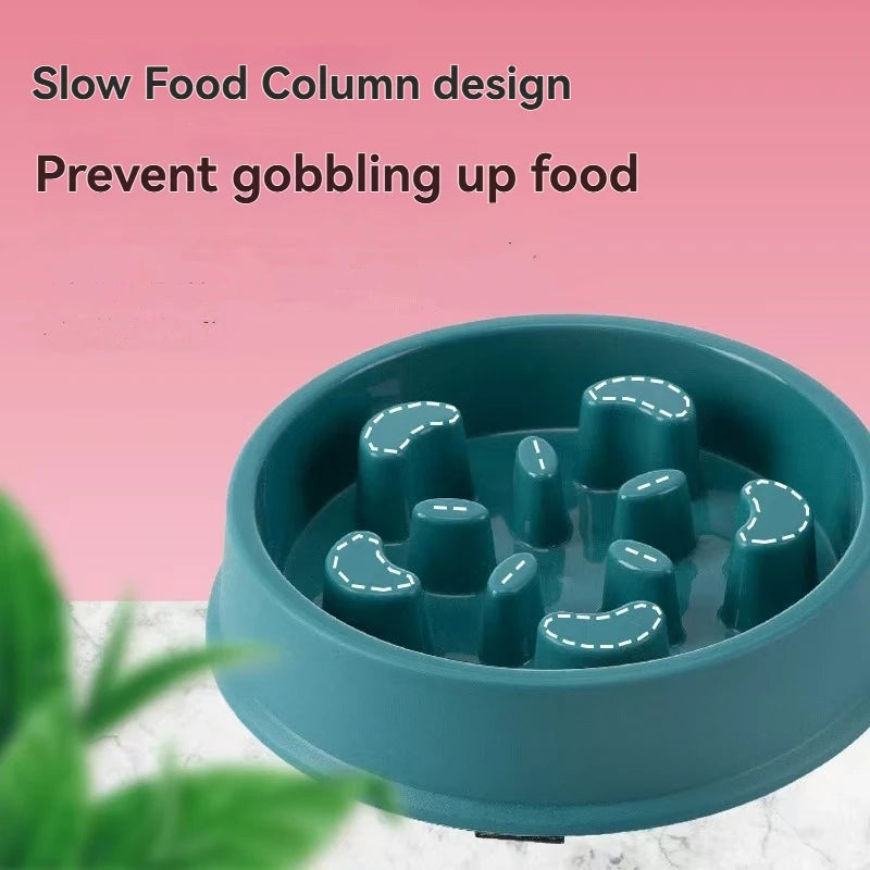 Slow Feeding Bowl for Cats and Dogs