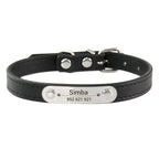 Personalized Leather Collar for Cats and Dogs
