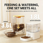 Automatic Pet Feeder And Water Bowl Combo Stainless Steel