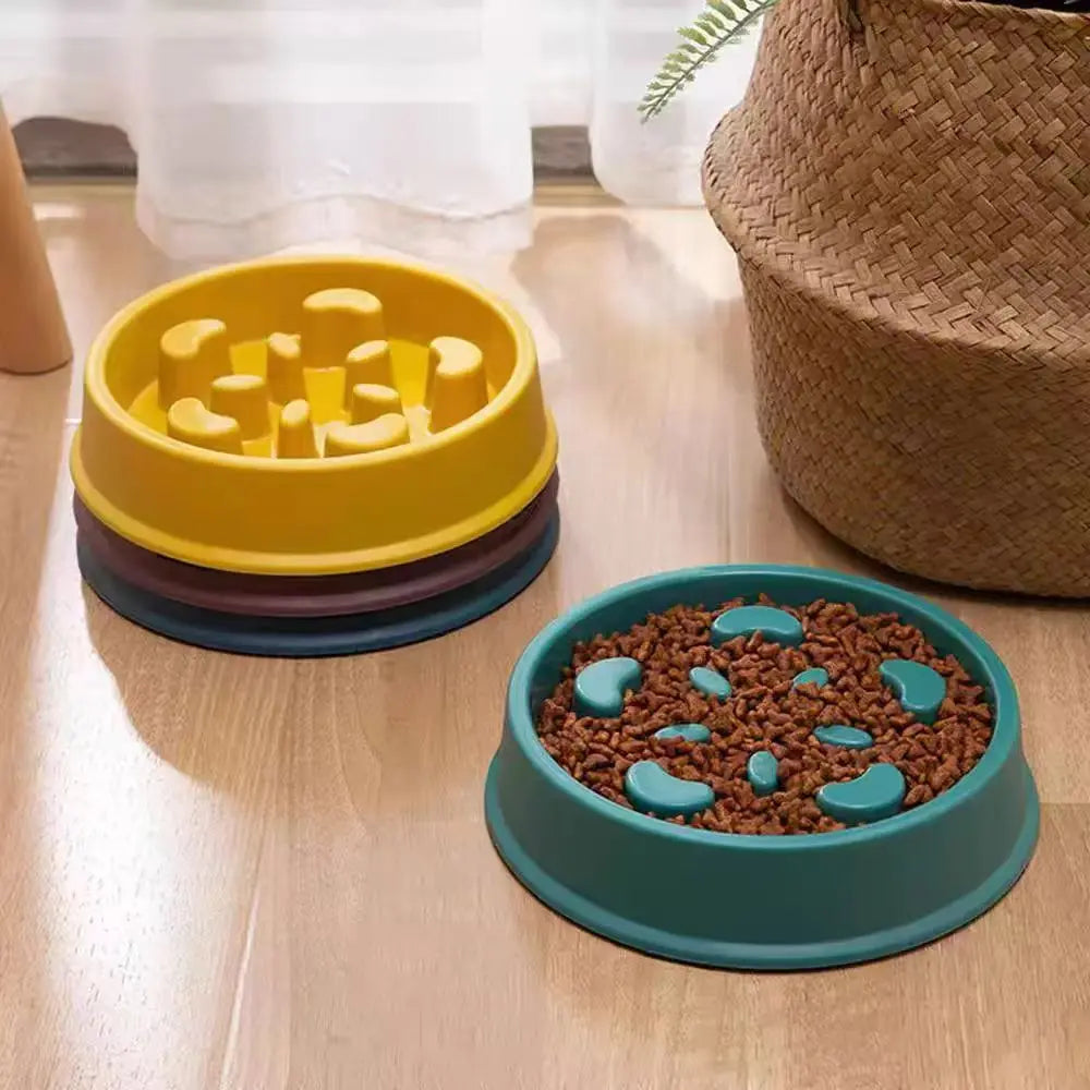 Slow Feeding Bowl for Cats and Dogs