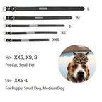Personalized Leather Collar for Cats and Dogs