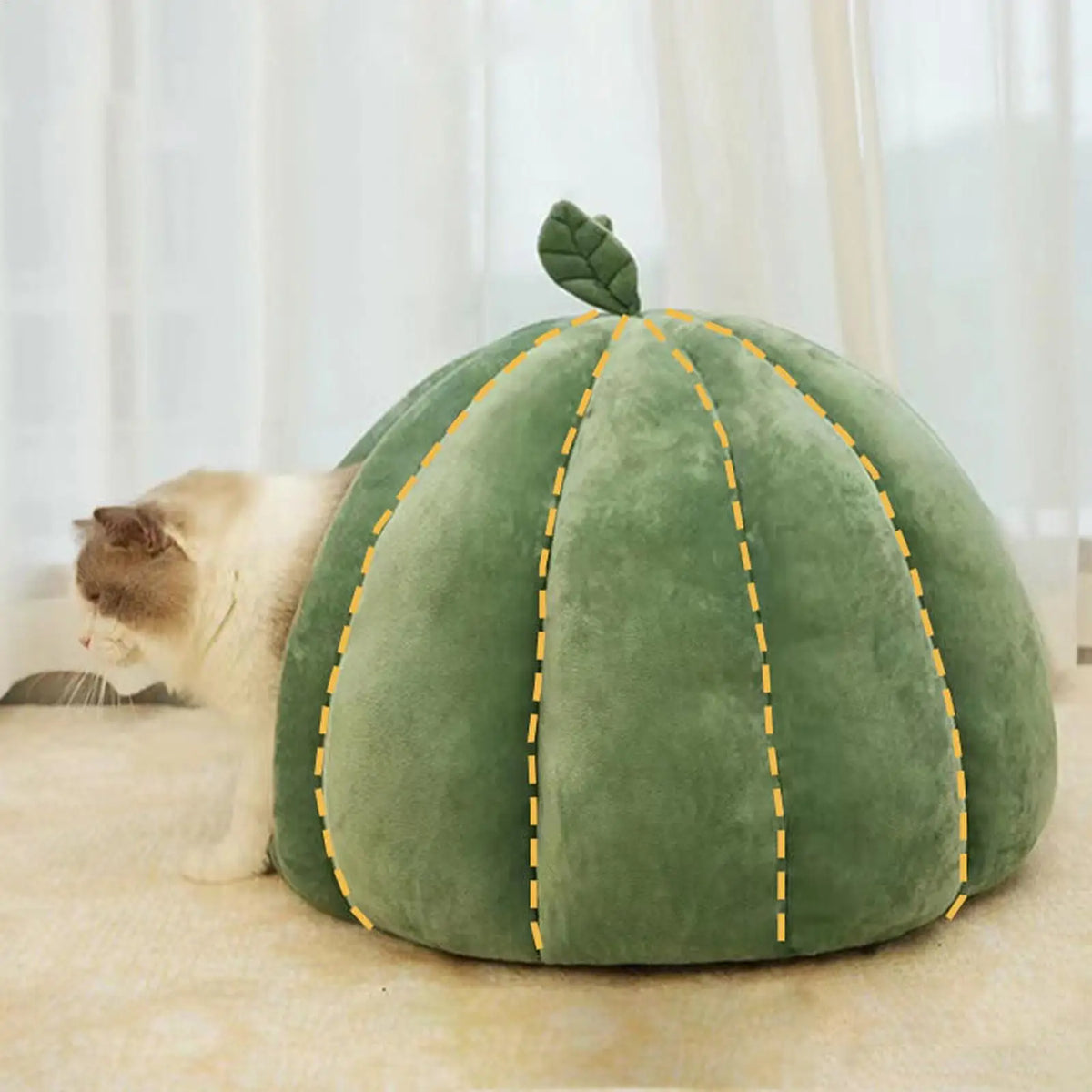 Pumpkin Cat House