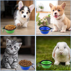 350ML Dog Bowls - Expandable Foldable Travel Pet Bowls with Carabiners, Durable Plastic Food & Water Dishes for Hiking,Walking