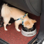 Pet Dog Bowls Floating Not Wetting Mouth Cat Bowl No Spill Drinking Water Feeder Plastic Portable Dog Bowl Outdoors Accessories