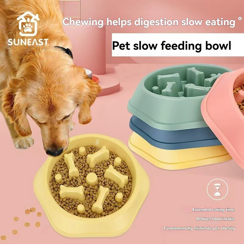 Environmentally Safe Slow Feeder Bowl