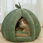 Pumpkin Cat House