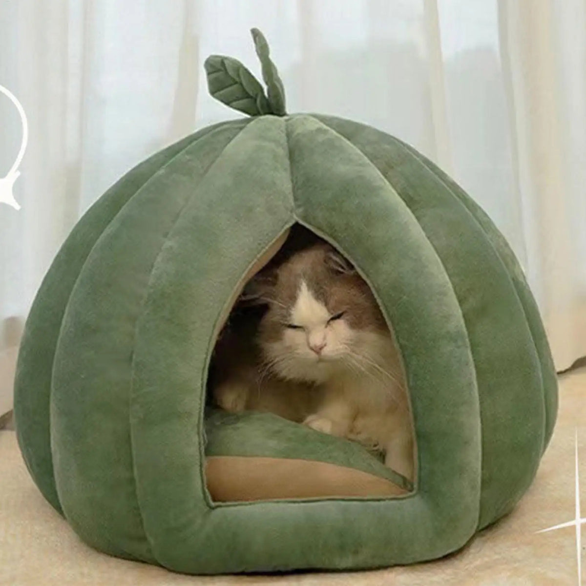 Pumpkin Cat House