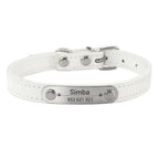 Personalized Leather Collar for Cats and Dogs