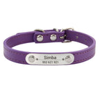 Personalized Leather Collar for Cats and Dogs