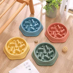 Environmentally Safe Slow Feeder Bowl